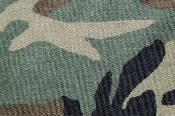 Comment les caméléons font-ils pour changer de couleur si rapidement?