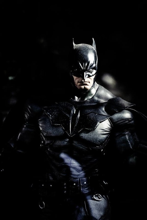 Quelle fréquence de nettoyage d'oreilles est conseillée pour un chat Scottish Straight?